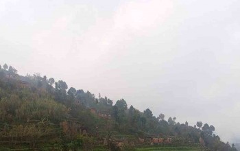 बैतडीमा काकाले भतिजाको हत्या गरेपछि गाउँ नै शोकमग्न 